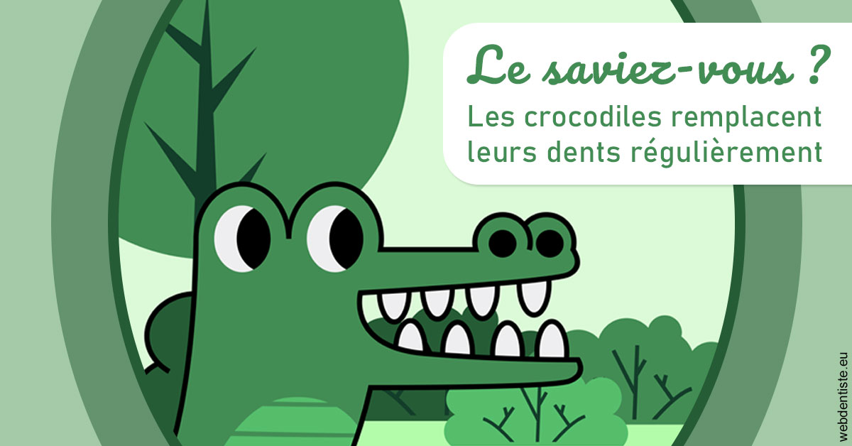 https://www.orthodontie-bruxelles-gilkens.be/Crocodiles 2