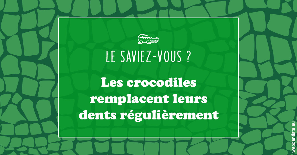 https://www.orthodontie-bruxelles-gilkens.be/Crocodiles 1